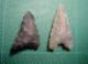 ２種類の石質の違う石鏃