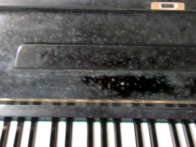 ピアノのカビ1(jpg,99.2k)