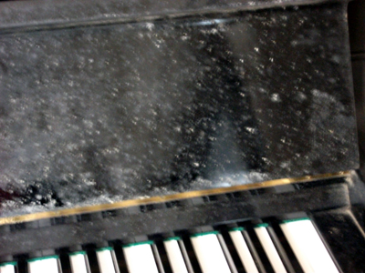 ピアノのカビ2(jpg,108k)