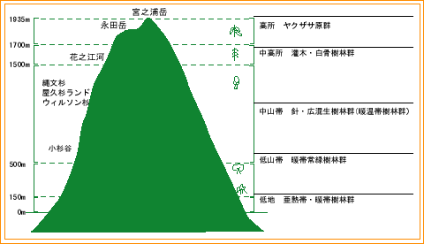 植物の垂直分布図　